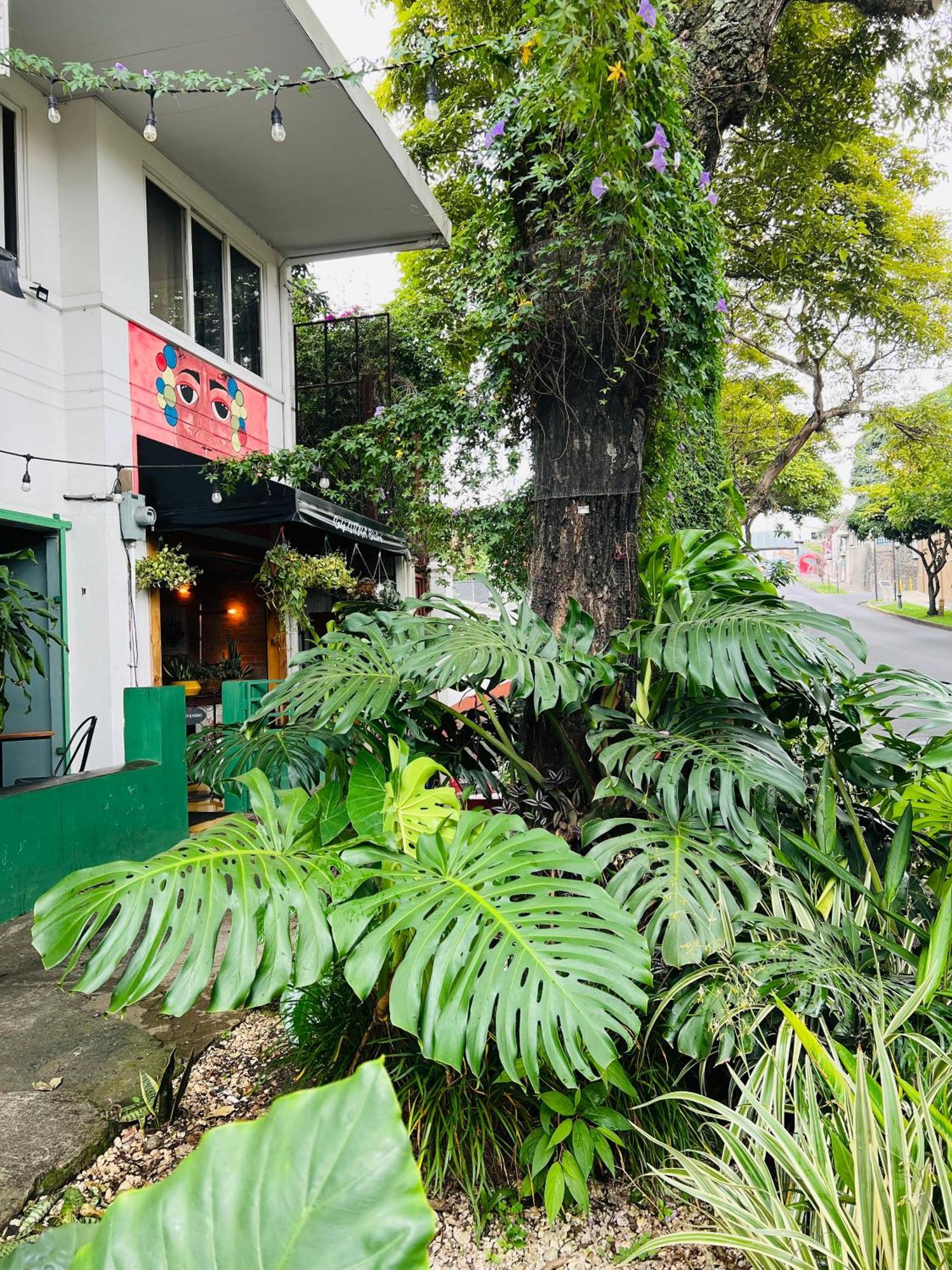 Otoya 1907 Hotel (Adults Only) San Jose (San Jose) Exterior foto